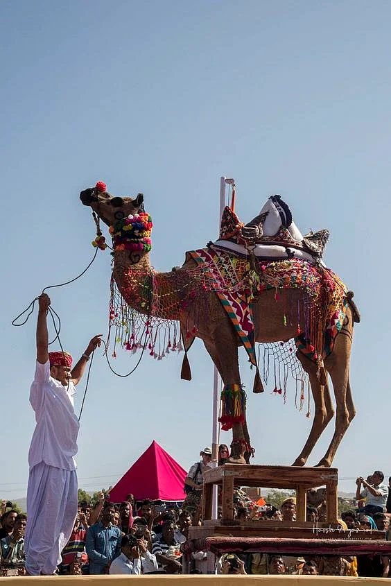 pushkar mela67