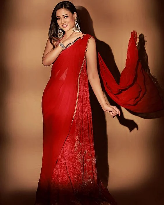 Shweta Tiwari Blouse