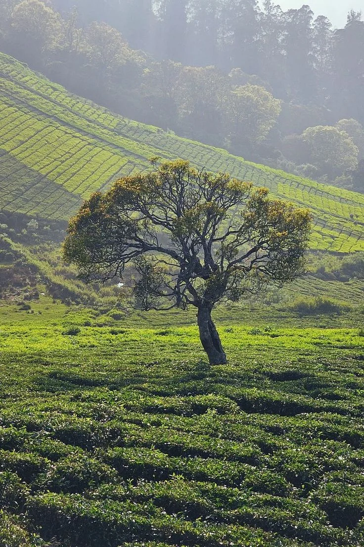 Best Hill stations