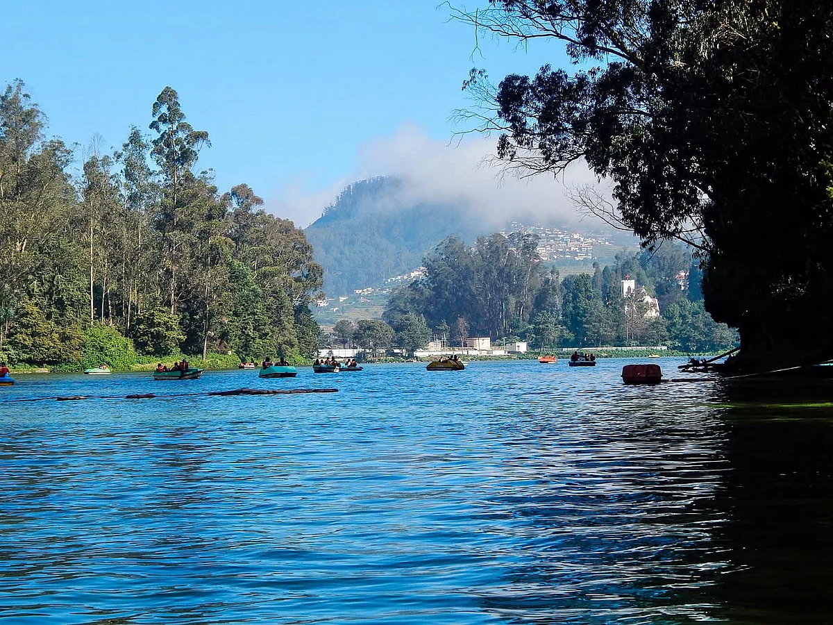 ooty1