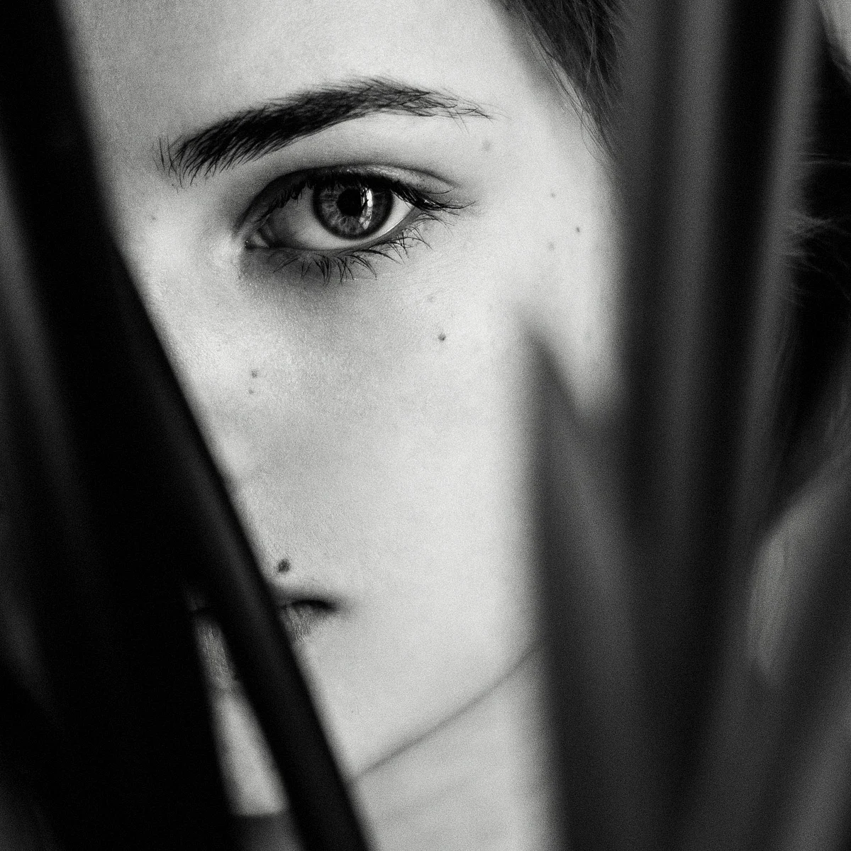 pexels elizaveta dushechkina 2099536 3750717