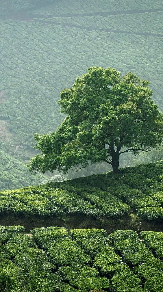 Best Hill stations