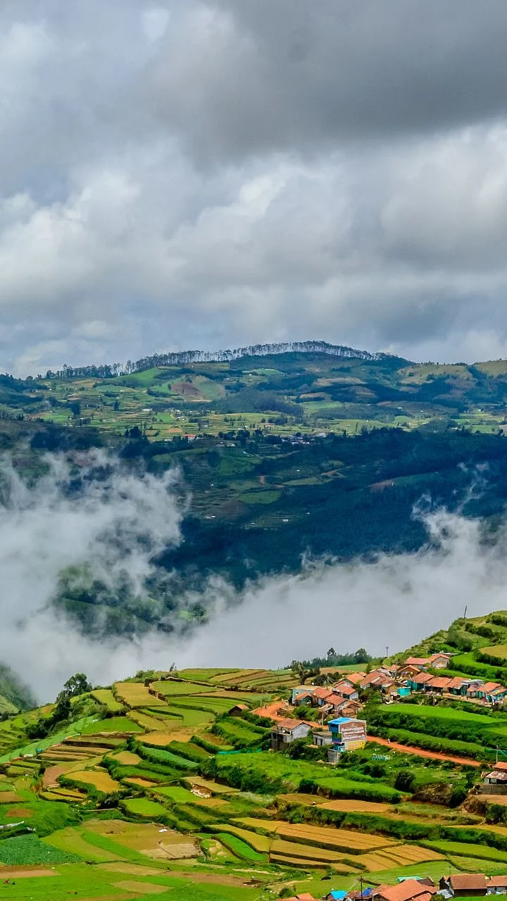ooty