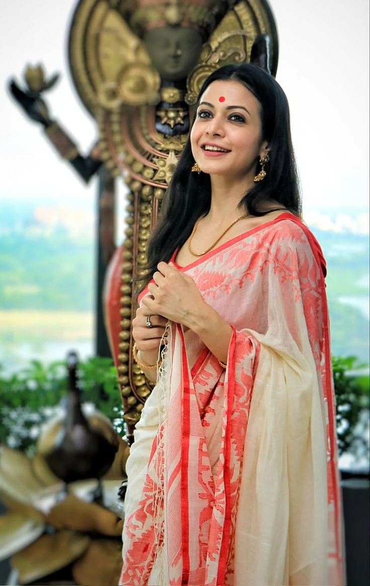 Trolley saree