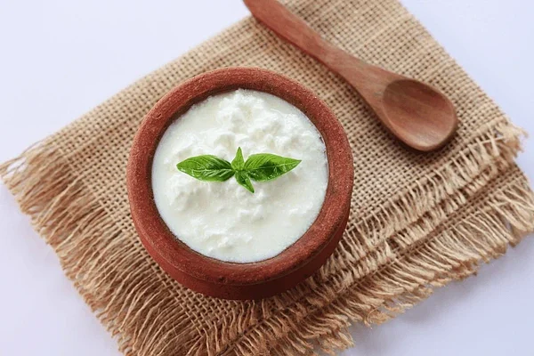 homemade yogurt indian dahi curd 600nw 2277907151