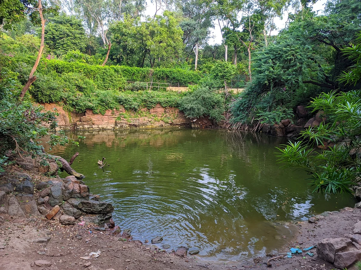 bloody lake in delhi