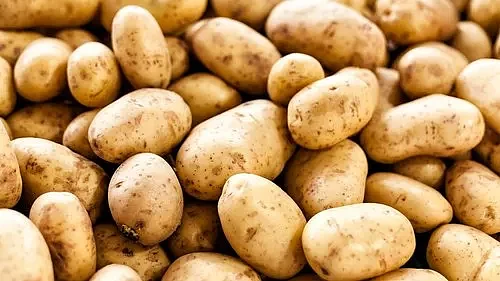 a grade up potato aalu wholesale trading hyderabad