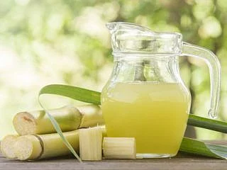Sugarcane 8