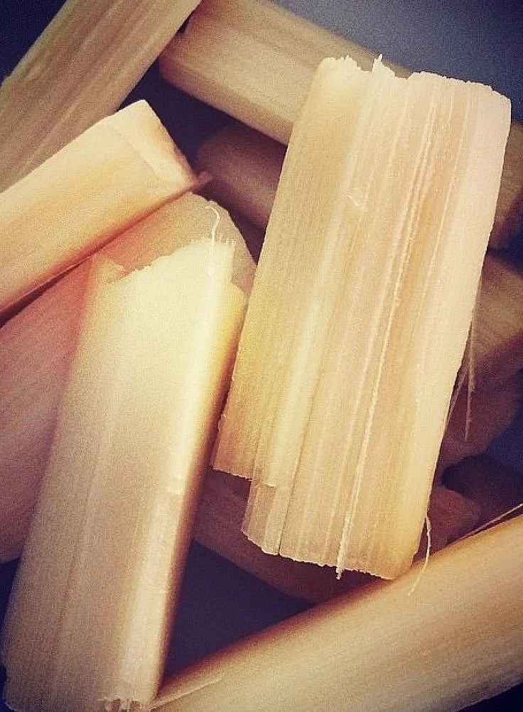 Sugarcane 6