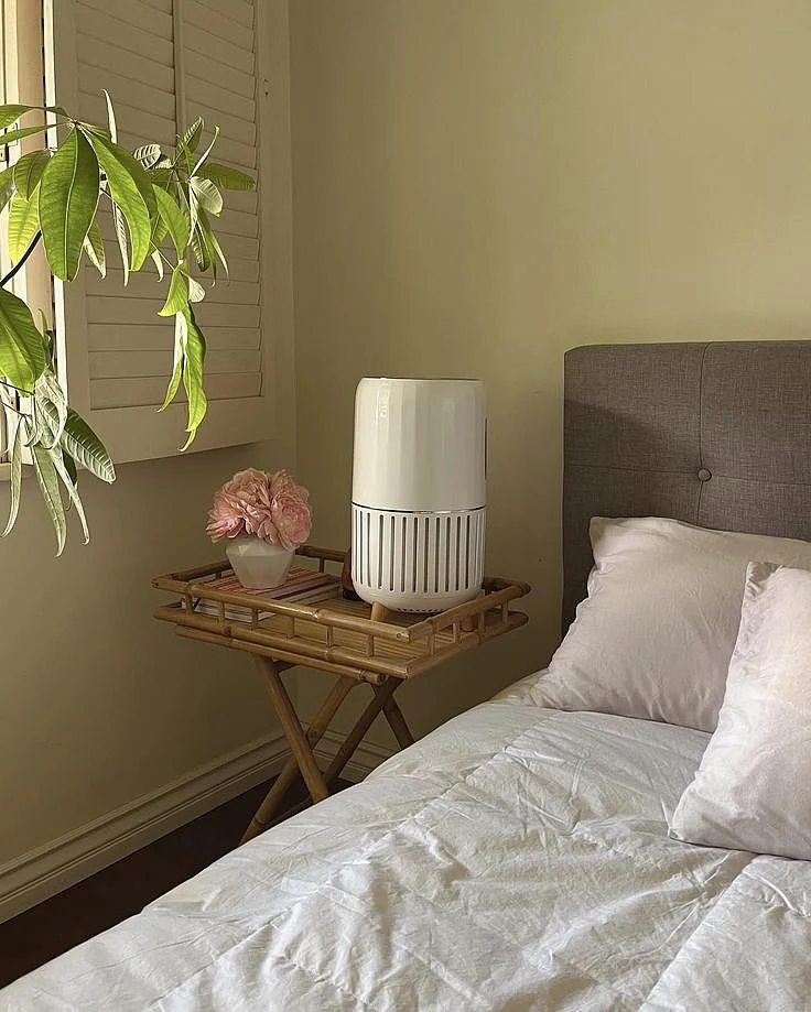 purifier at homeeu