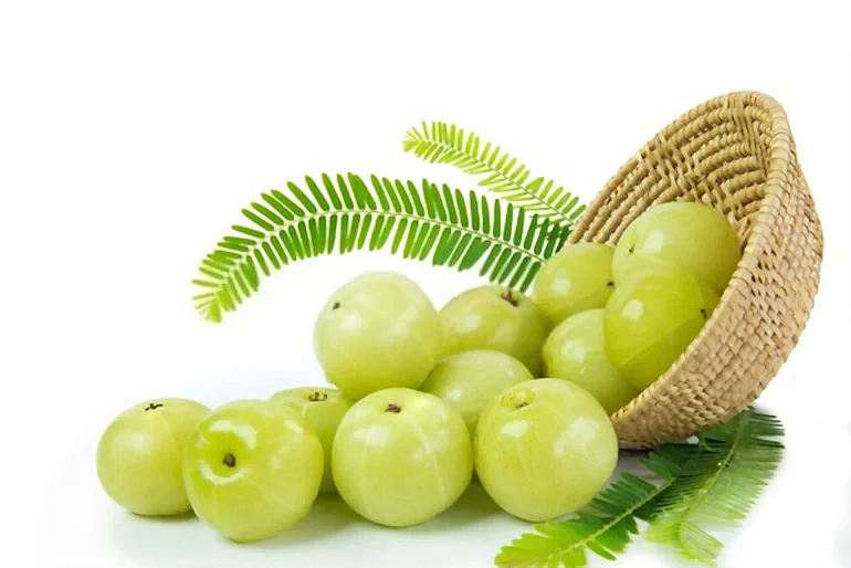Amla Featured