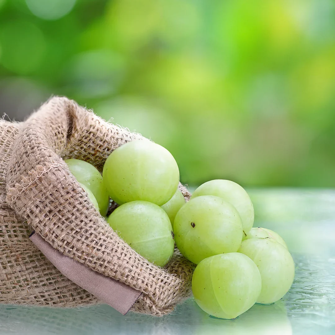 Amla 2