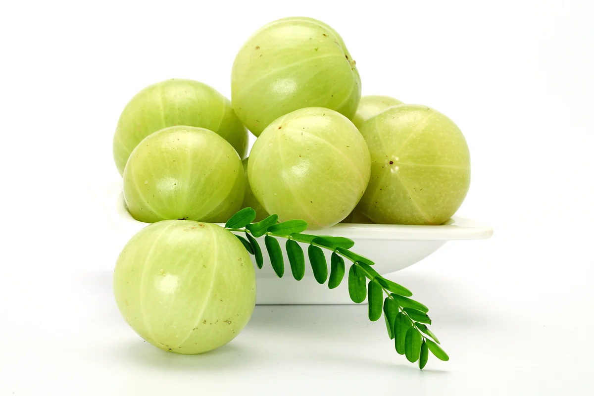5276