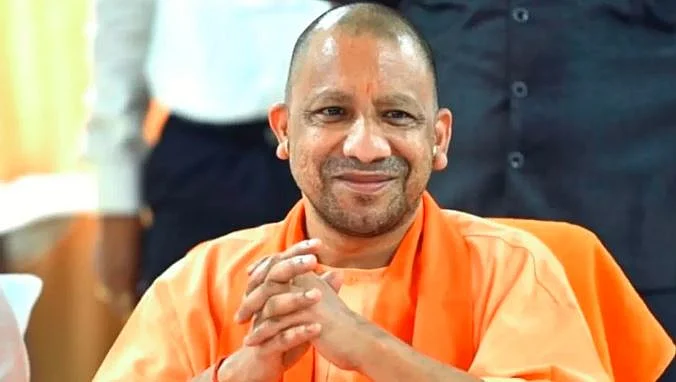 yogi