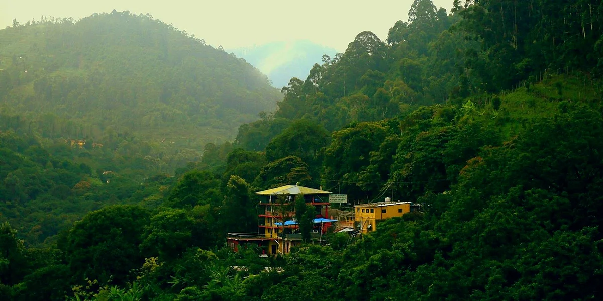 siliguri greenery1