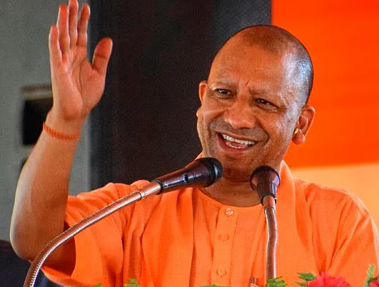 yogi 2