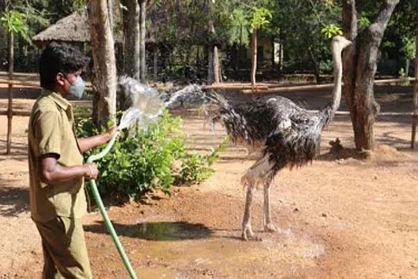 zoo3