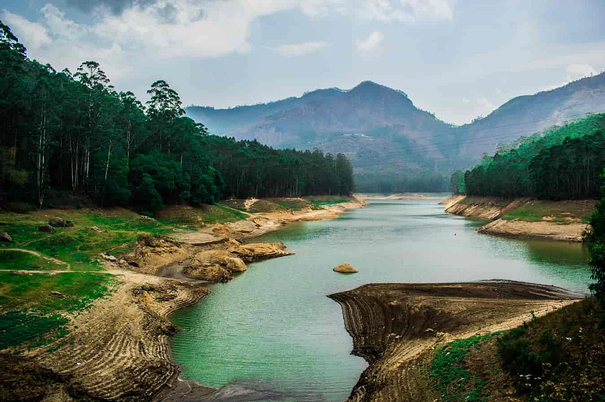 south indian greenery