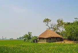 images 38