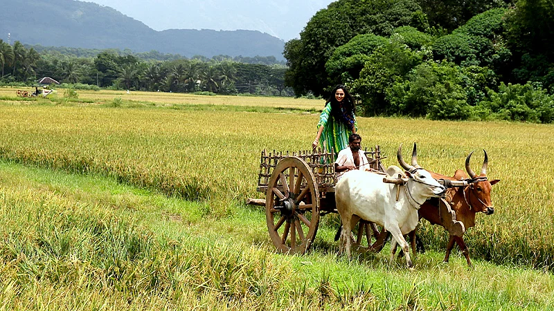 Village Life