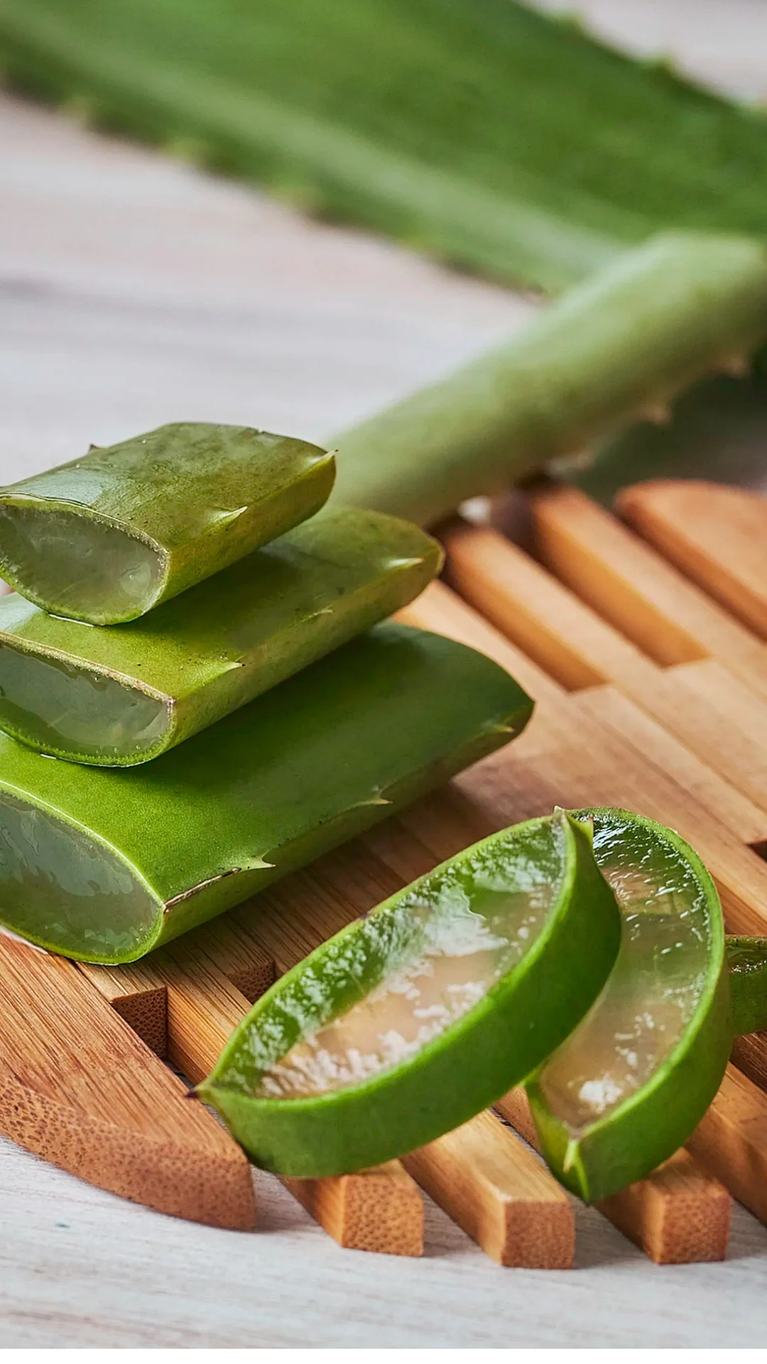 Aloe vera 9