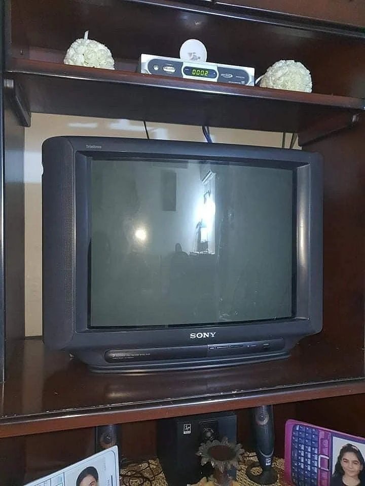 tv1