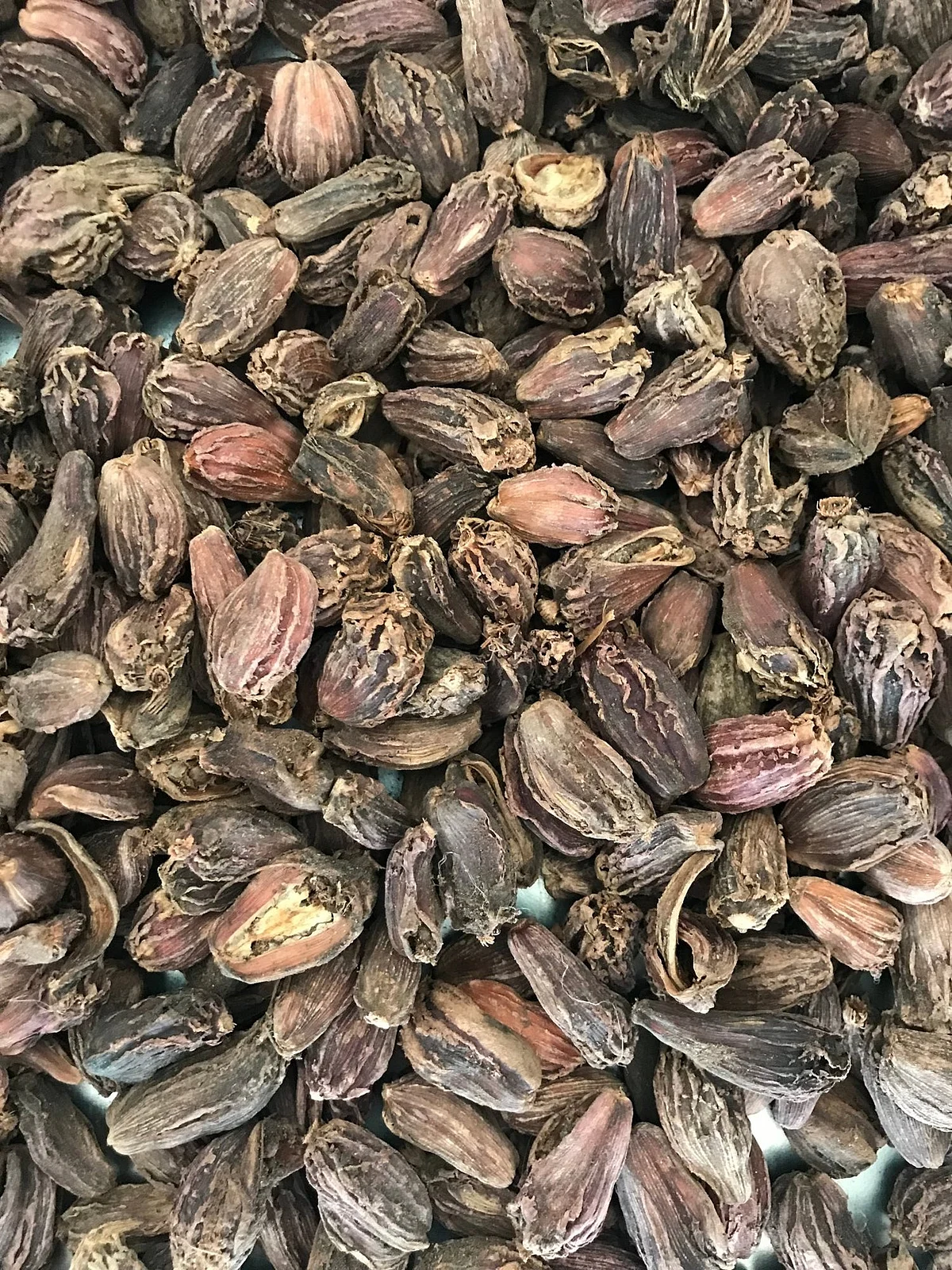 Cardamom77