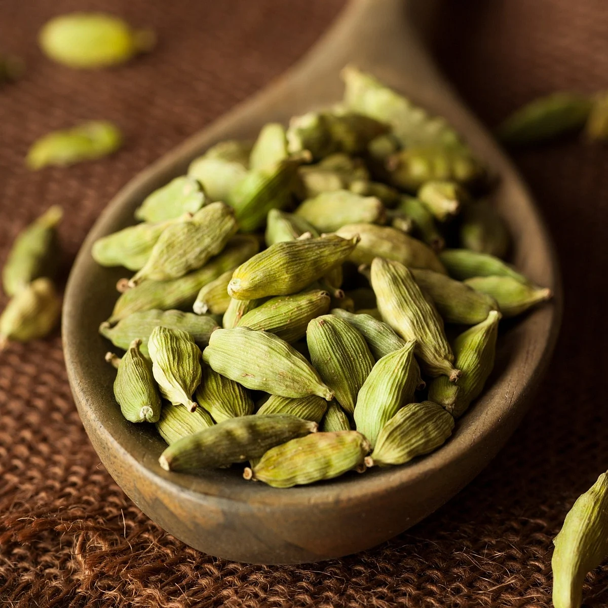 Cardamom67