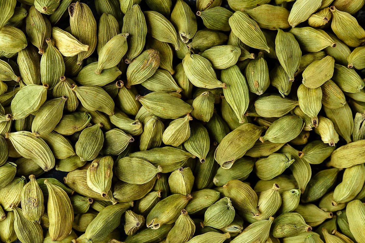 Cardamom3