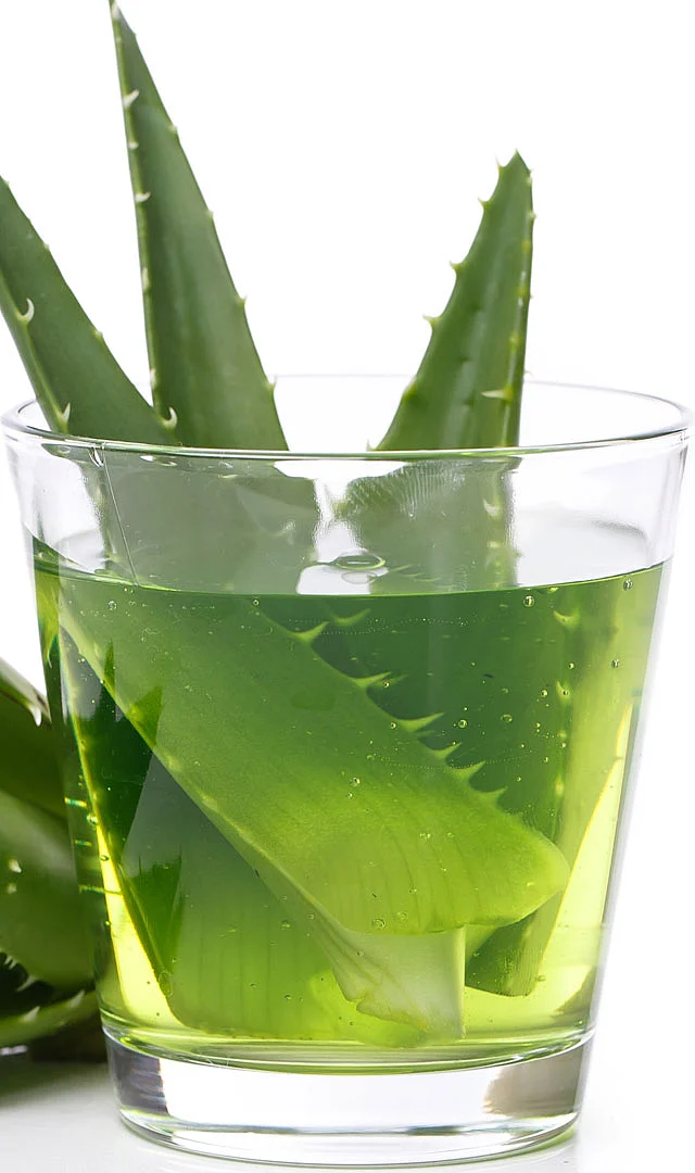 Aloe vera 10
