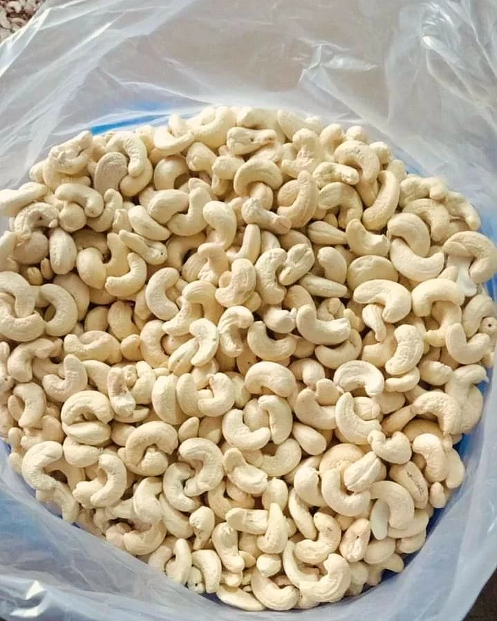 Cashew5