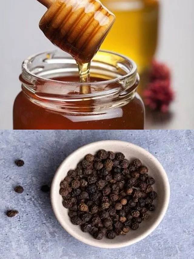 2977230 honey 1