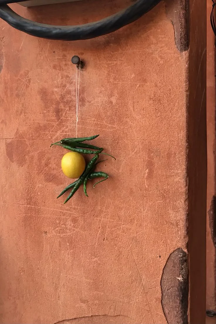 lemon Green Chilli 7