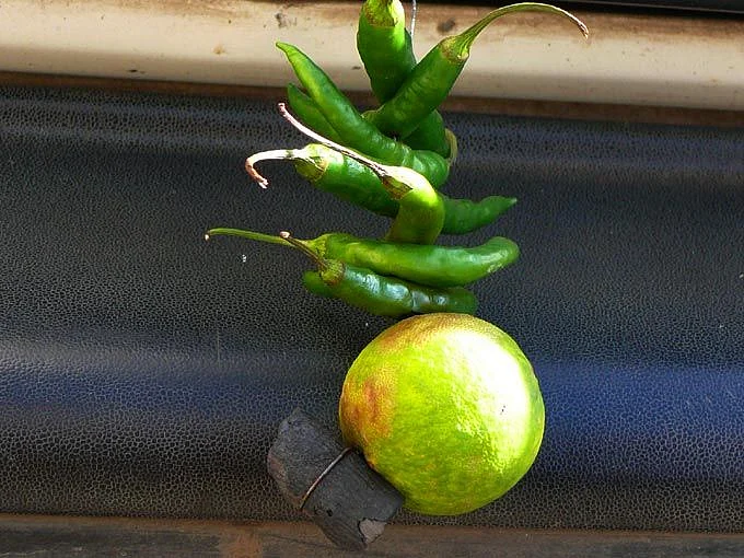 lemon Green Chilli