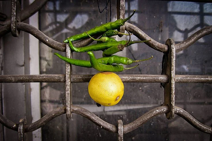 lemon Green Chilli 3