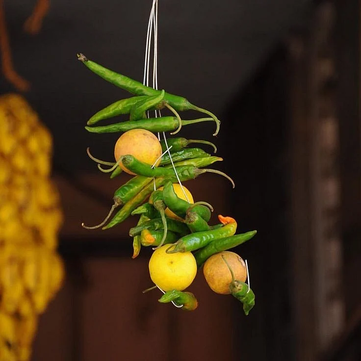 lemon Green Chilli 4