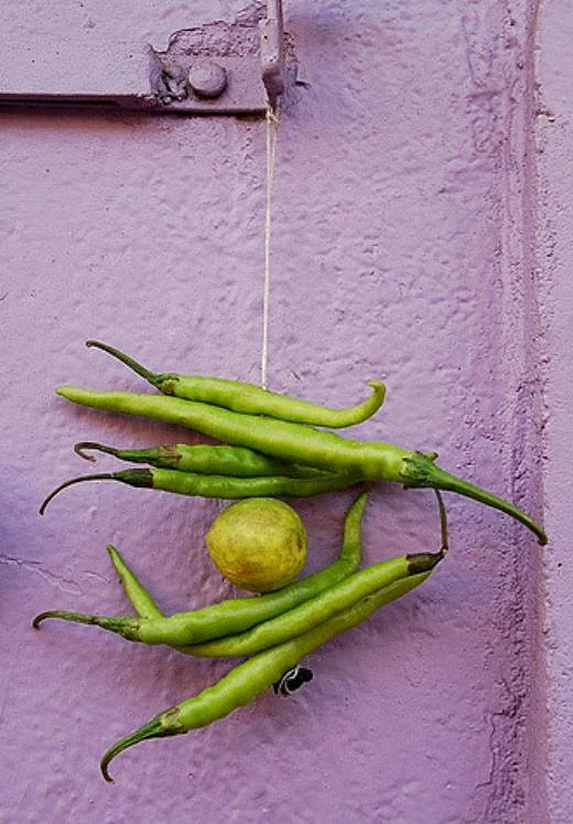 lemon Green Chilli 6