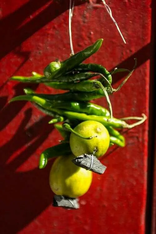 lemon Green Chilli 2