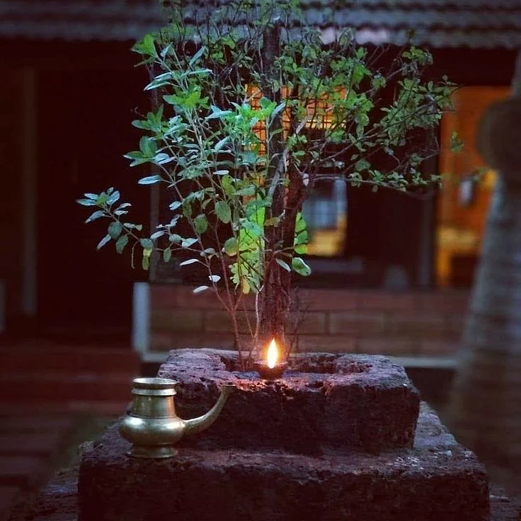 Vastu Tips