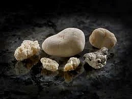 images 14