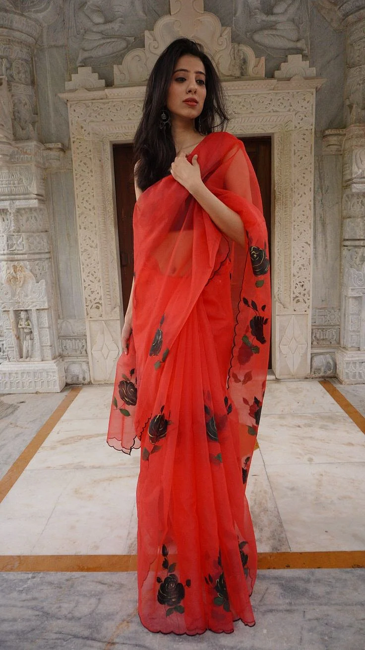 Red Organza Saree with Black Detailing