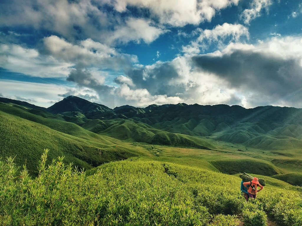 2nagaland greenery