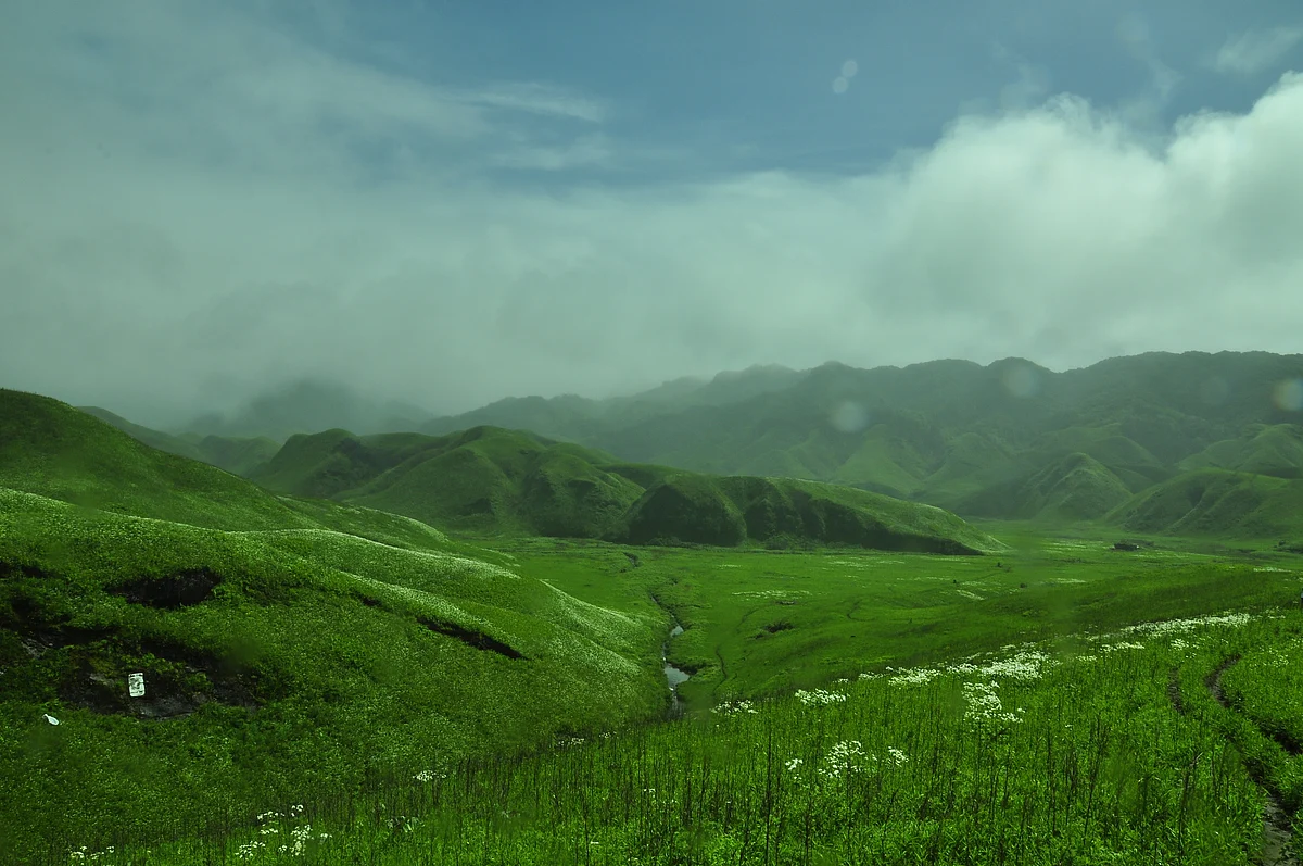 nagaland greenery1