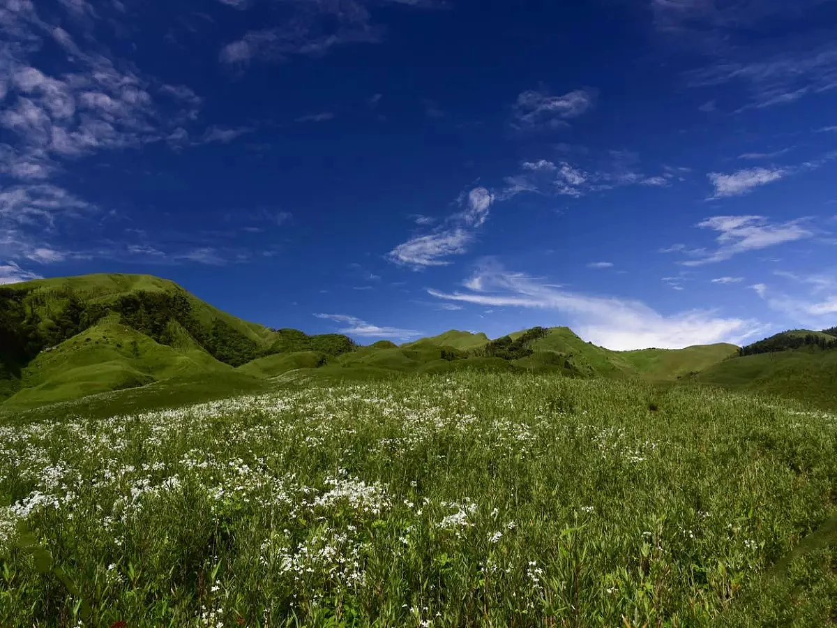 nagaland greenery5
