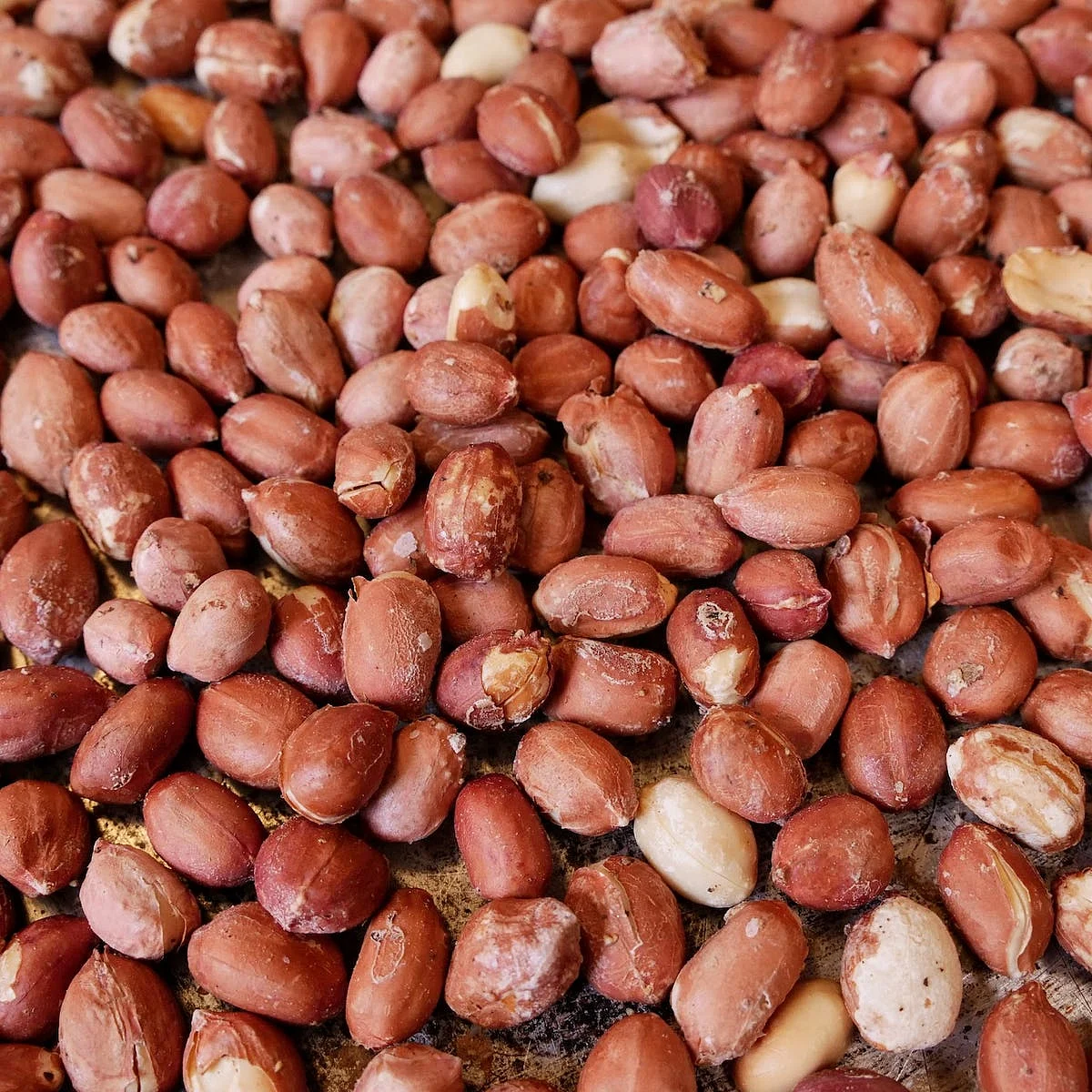 peanut866