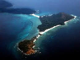 images 31
