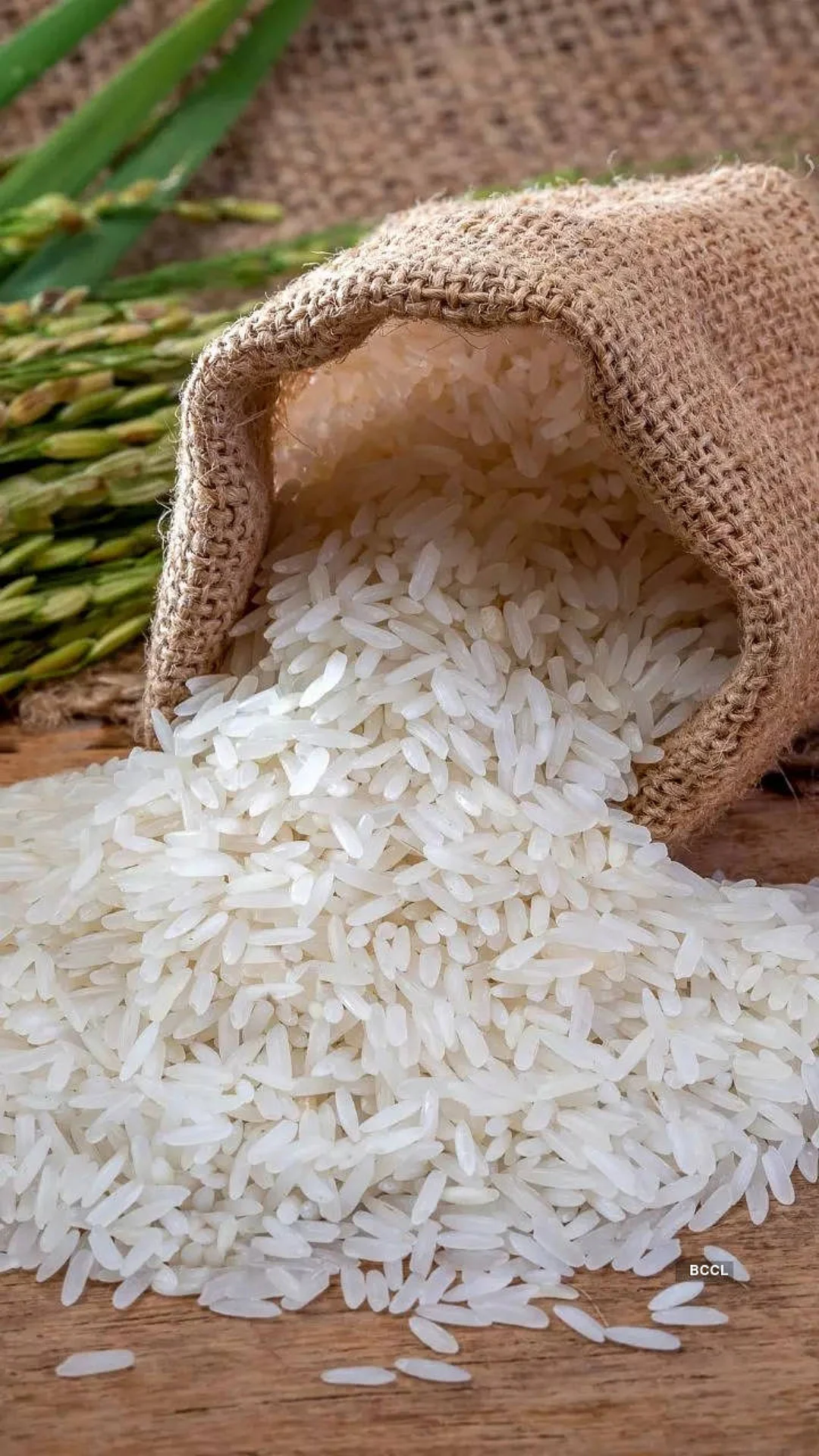 rice