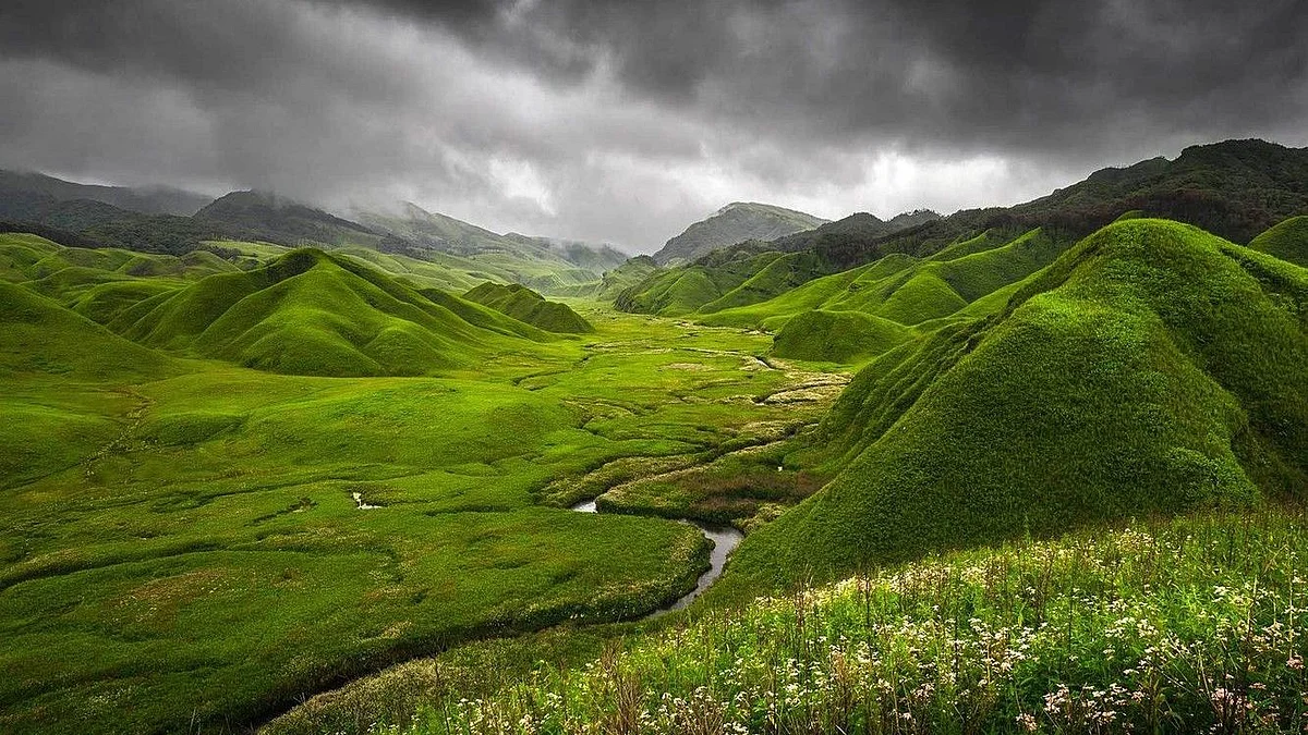 nagaland greenery7