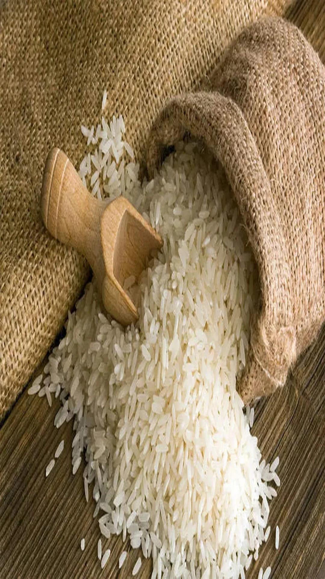 rice3