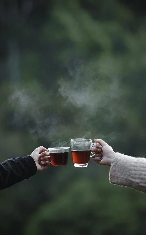 nilgiri tea875